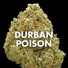Drum and Bass Mix | "Durban Poison" | Jump up & Neurofunk - highdrum