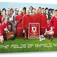 Fields Of Anfield Road - Liverpool Collective (Hillsborough Version)