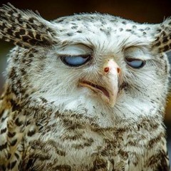 Dj Eagle - Everything Is Different 2014part1