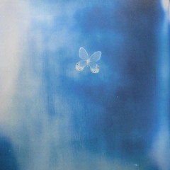 Blue Coma(New Album)