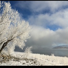 Snowfall (cover) -Jennie Kapadai