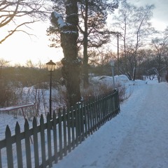 Le Samedi Matin