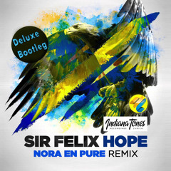 Hope (Nora en Pure Remix)(Deluxe Edit)