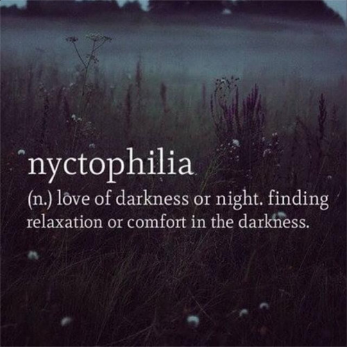 (2014) Mixtape Nyctophilia