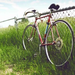 THE CRANBERIES - ANIMAL NSTINCT (cover by me)