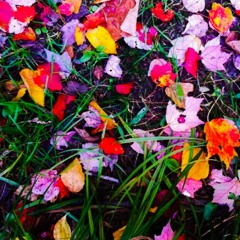 Fall into place- quick phone beat