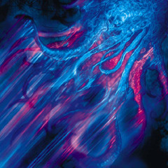 Cascade—for Two Pianos