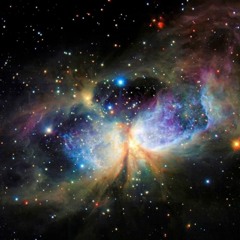 PARALLEL UNIVERSUM