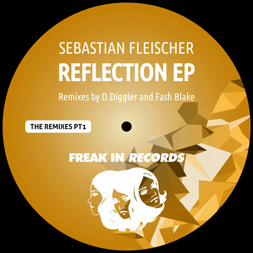Sebastian Fleischer - Trust In Me (D.Diggler Remix) Freak In records