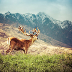 DIckystixxx - Make Me Feel Better