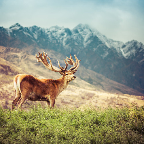 DIckystixxx - Make Me Feel Better