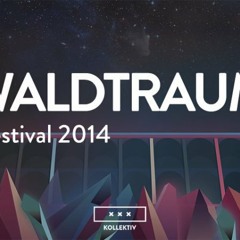 Marcapasos @ Waldtraum Festival 11.10.12014