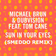 Michael Brun & DubVision - Sun In Your Eyes (Smeddo Remix)Free download