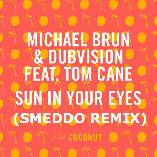 Michael Brun & DubVision - Sun In Your Eyes (Smeddo Remix)Free download