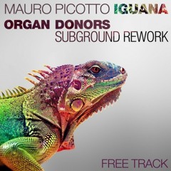 Mauro Picotto - Iguana (Organ Donors Subground Rework)