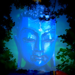 Gate Gate. "Going, going, going on beyond, always going on beyond, always becoming Buddha."