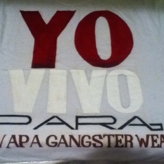 4v2tt ft 2yy - señor del Flow (mixtape - only promo)(prod-ignoto).m4a at 4vNr