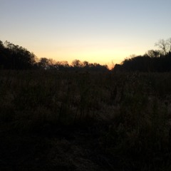 Omaha Bushman Howls Sasquatch