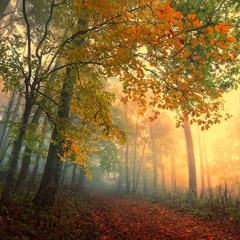 Exist Strategy - Autumn Breeze (Cross Them Out Remix)