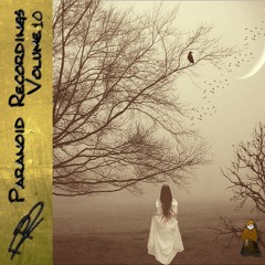 Boca - Downstairs *Out now on Paranoid Recordings Vol 10*