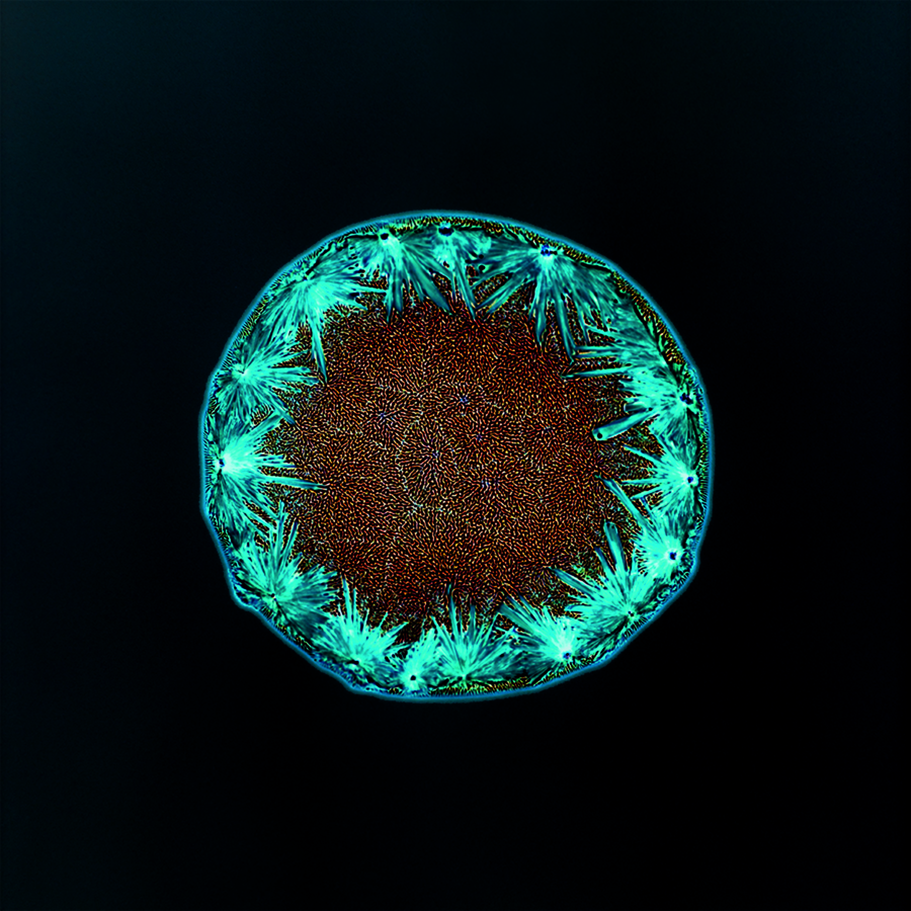 Part 5 episode artwork