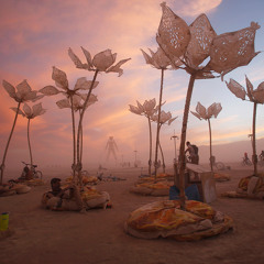 Lee Foss - New Tune (Unreleased) [Burning Man 2014]