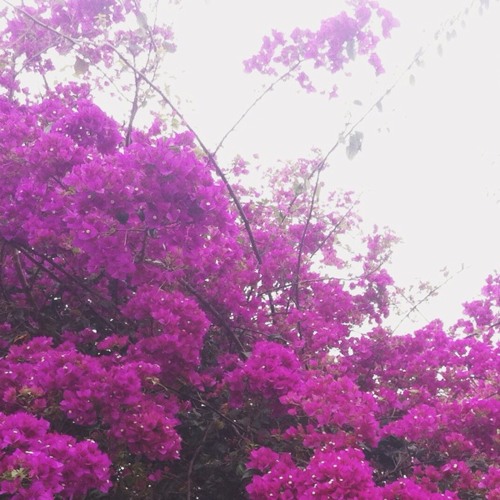 The October Song