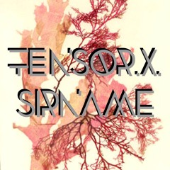 **tensorXsirname//The.Beholder**