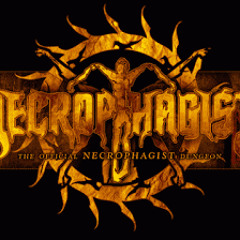 Foul Body Autopsy - Necrophagist(Full Band Cover)