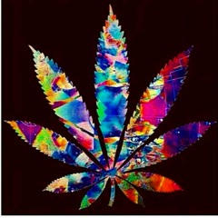 Got Bars Pt.1 at South Carolina