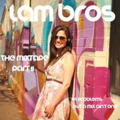 Lam Bros DJ Co - 99 Problems But A Mix Ain't One