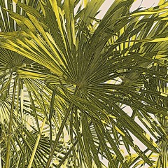Zanzibar