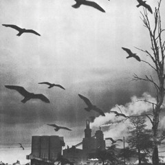 16102014 ADE Preview - Hieroglyphic Being