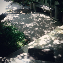 ฉันจะฝันถึงเธอ