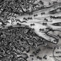 Paolo C & Paolo Martini - Wipeout (Marcelo Cura Remix) SNIPPET -on D-Floor rec.