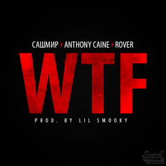 Rover x Anthony Caine x Sashmir - WTF