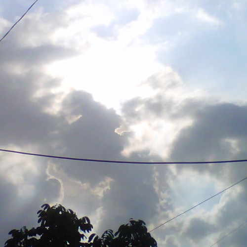 cheesucks - nutshell (alice in chains cover)