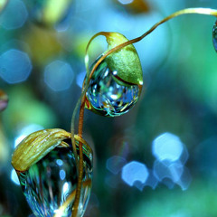 Rugiada - Prod. La Tysha