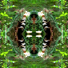 Aeroplanes In Dreams