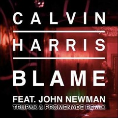 BLAME ( DNB RMX ) - Trupak & Promenade