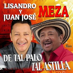 Juan Jose Meza Feat. Lisandro Meza - El Bobo