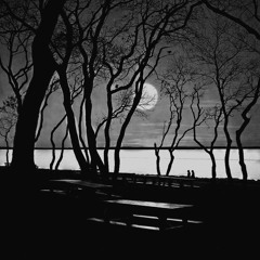 Moonlight Stroll - Milana Meets jCoke