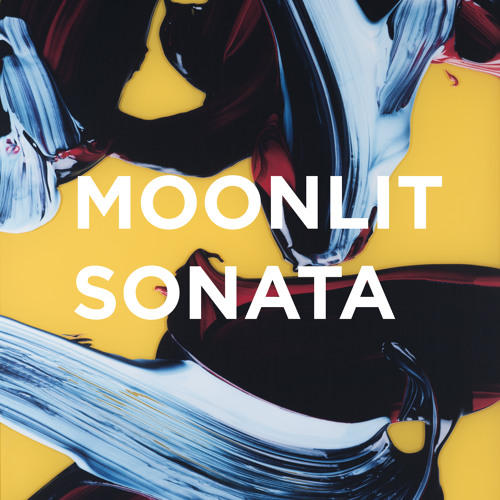 Moonlit Sonata