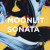 Artwork for Moonlit Sonata