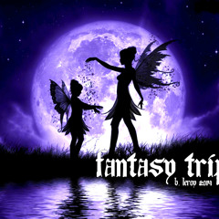 Fantasy Trip '14