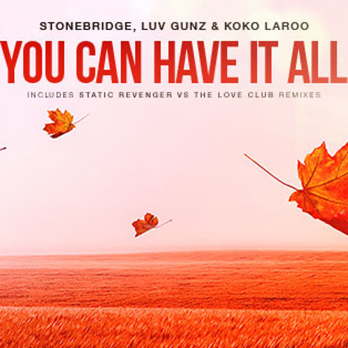 StoneBridge, Luv Gunz & Koko LaRoo - You Can Have It All