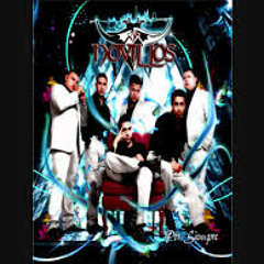 Tu Amigo - Novillos Musical