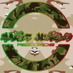 Steppa Style & ePeak - Mad A Road (Extract)