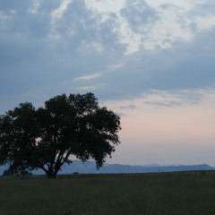 Druggies And Hoes Remix (rough)