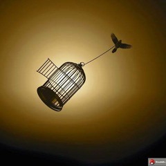 inside dreams